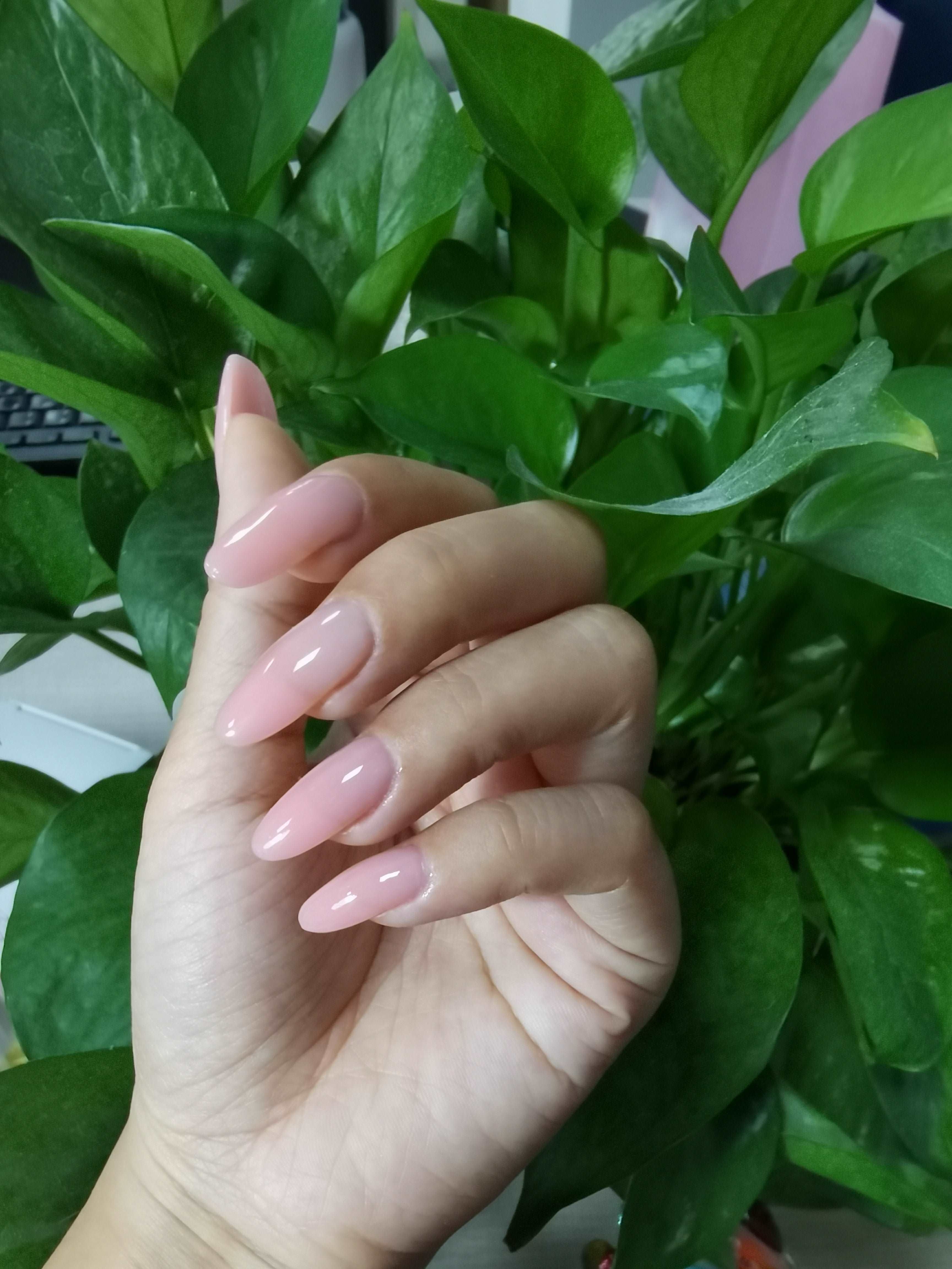 nail build
