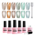 cat eye gel polish set with magnet