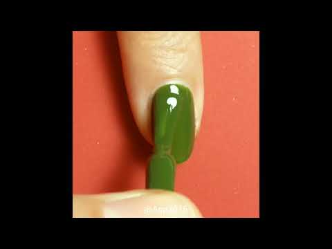 Chou frisé (073)